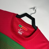 2010 Portugal Home Fans 1:1  Quality Retro Soccer Jersey
