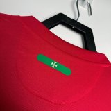 2010 Portugal Home Fans 1:1  Quality Retro Soccer Jersey