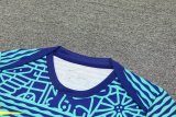 24/25  Brazil Blue 1:1 Quality Training Jersey（A-Set）