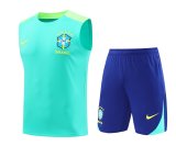 24/25 Brazil Green 1:1 Quality Training Vest （A-Set）