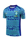 24/25  Brazil Blue 1:1 Quality Training Jersey（A-Set）