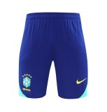 24/25  Brazil Green  1:1 Quality Training Jersey（A-Set）
