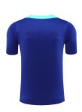 24/25  Brazil Blue 1:1 Quality Training Jersey（A-Set）