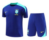 24/25  Brazil Blue 1:1 Quality Training Jersey（A-Set）