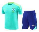 24/25  Brazil Green  1:1 Quality Training Jersey（A-Set）