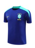24/25  Brazil Blue 1:1 Quality Training Jersey（A-Set）