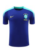 24/25  Brazil Blue 1:1 Quality Training Jersey（A-Set）
