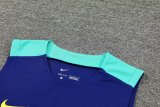 24/25 Brazil Blue 1:1 Quality Training Vest （A-Set）