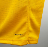 24/25 Lakers HOWARD #39 Yellow 1:1 Quality NBA Jersey