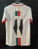 24/25  Palestine  White Fans 1:1 Quality Soccer Jersey