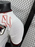 24/25 Japan Special Edition Player 1:1 Quality Soccer Jersey