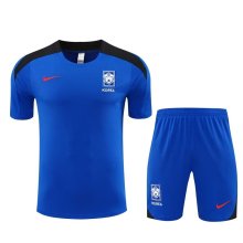 24/25 Korea Blue 1:1 Quality Training  Jersey（A-Set）