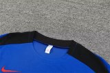 24/25 Korea Blue 1:1 Quality Training  Jersey（A-Set）