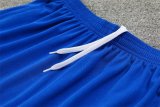 24/25 Korea Blue 1:1 Quality Training  Jersey（A-Set）