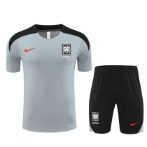 24/25 Korea Grey 1:1 Quality Training  Jersey（A-Set）
