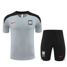 24/25 Korea Grey 1:1 Quality Training  Jersey（A-Set）