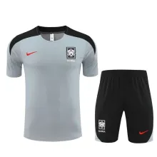 24/25 Korea Grey 1:1 Quality Training  Jersey（A-Set）