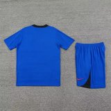 24/25 Korea Blue 1:1 Quality Training  Jersey（A-Set）