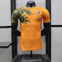 24/25 Japan Special Edition Yellow Player 1:1 Quality Soccer Jersey