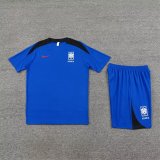 24/25 Korea Blue 1:1 Quality Training  Jersey（A-Set）