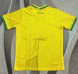 2022 Brazil Goddess Edition Fans 1:1 Quality Soccer Jersey