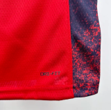 2024 Team USA JAMES #6 Red 1:1 Quality NBA Jerseys