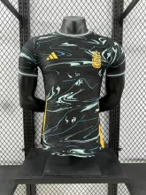24/25  Argentina Special Edition Player 1:1 Quality Soccer Jersey