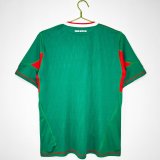 2010 Mexico Home Fans 1:1 Quality Retro Soccer Jersey