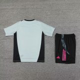 24/25 Juventus  Grey 1:1 Quality Training Jersey（A-Set）