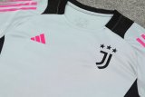 24/25 Juventus  Grey 1:1 Quality Training Jersey（A-Set）