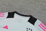 24/25 Juventus  Grey 1:1 Quality Training Jersey（A-Set）