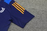 24/25 Juventus  Blue 1:1 Quality Training Jersey（A-Set）
