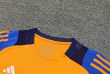24/25 Juventus  Orange 1:1 Quality Training Jersey（A-Set）