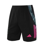 24/25 Juventus Grey 1:1 Quality Training Vest（A-Set）