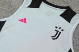 24/25 Juventus Grey 1:1 Quality Training Vest（A-Set）