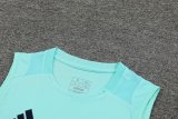 24/25  Real Madrid  Blue 1:1 Quality Training Vest（A-Set）