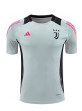 24/25 Juventus  Grey 1:1 Quality Training Jersey（A-Set）