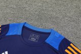 24/25 Juventus  Blue 1:1 Quality Training Jersey（A-Set）