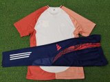 24/25  Lyonnais  Training  Third Player 1:1 Quality Training Jersey