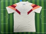 24/25  Lyonnais Special Edition Fans 1:1 Quality Soccer Jersey