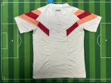 24/25  Lyonnais Special Edition Fans 1:1 Quality Soccer Jersey