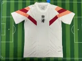 24/25  Lyonnais Special Edition Fans 1:1 Quality Soccer Jersey