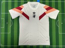24/25  Lyonnais Special Edition Fans 1:1 Quality Soccer Jersey