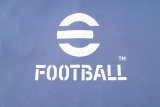 24/25 Inter Milan Training  Grey 1:1 Quality Training Jersey