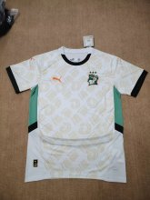 24/25 Cote d'Ivoire  Away  3-Stars  Fans 1:1 Quality Soccer Jersey