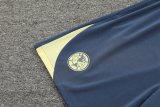 24/25 Club America Grey 1:1  Quality Training Vest（A-Set）