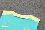 24/25 Club America Blue 1:1  Quality Training Vest（A-Set）