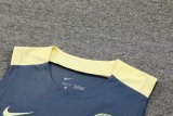 24/25 Club America Grey 1:1  Quality Training Vest（A-Set）