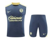 24/25 Club America Grey 1:1  Quality Training Vest（A-Set）