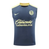 24/25 Club America Grey 1:1  Quality Training Vest（A-Set）